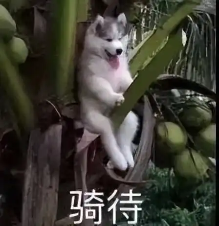 测试一个超长简介的文章