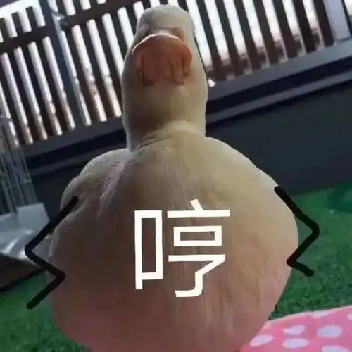 表情包很秃然