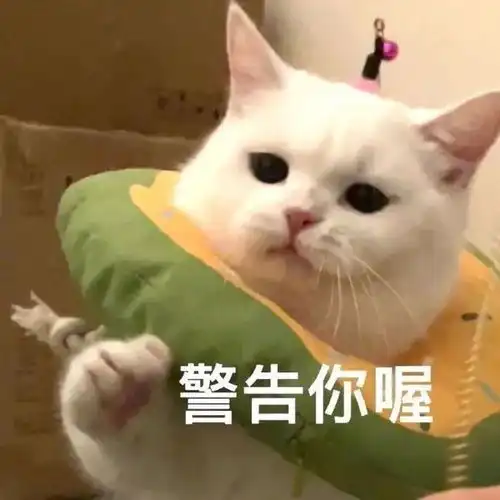 饮酒后休息半小时就能开车答案果然在意料之中