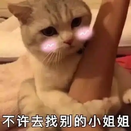 表情包撩汉专用表情包