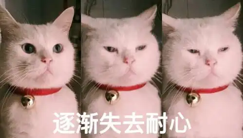 有沉迷美妆视频的姐妹吗姐妹们觉得美妆视频怎么...