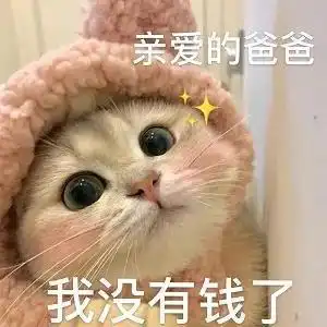 表情包每日难题,一会儿吃什么