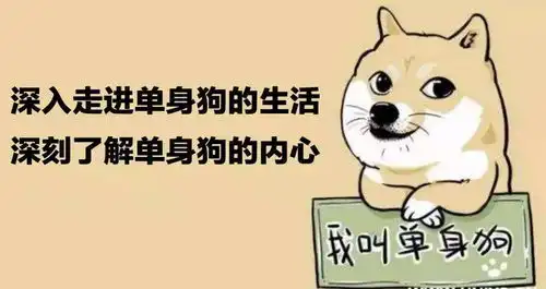拯救单身狗的七夕情人节脱单攻略,10招帮你轻松搞定爱人