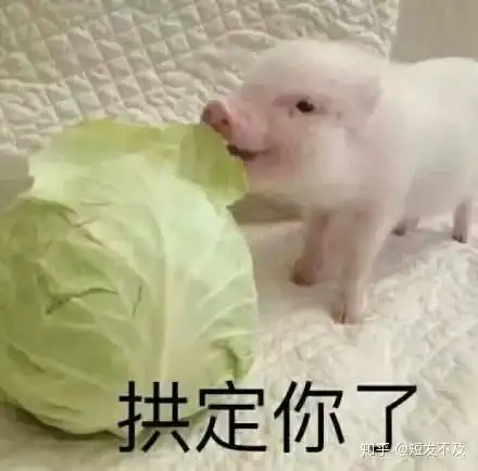 这个七夕土味情话视频有人看了七遍太可爱了