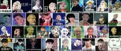相比于表情包黄子韬更反感小鲜肉原因竟然是这样