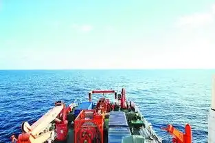 海牛是怎样牛起来的