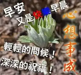 寒冷天气降温早上好温馨祝福文字和图片