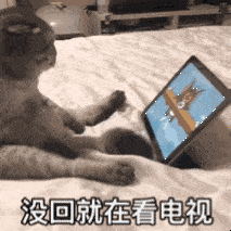 表情包大全群聊天斗图表情包