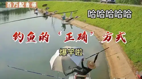 爆笑钓鱼瞬间,正确的钓鱼方式很重要,选错就很搞笑