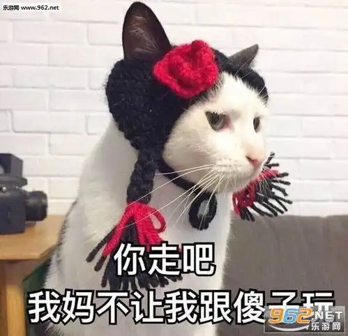 我的收藏夹