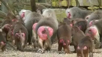 唐宋时的时尚达人们喜欢晒什么