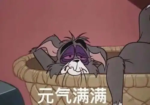月亮不睡你不睡你是秃头小宝贝
