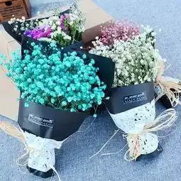 看到这朵小花没送你的