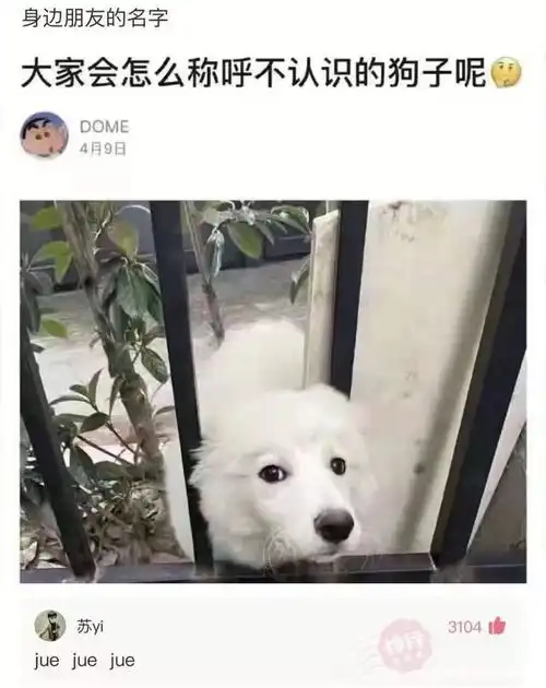 神回复酒店前台工资不高,还经常熬夜,为什么还有年轻女孩愿意做