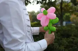 小丑阿升的买房梦