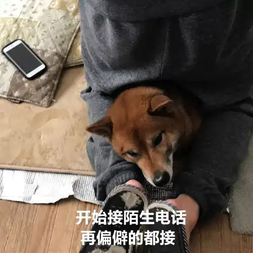 有的人虽然双11破产了,但依旧是表情包大户