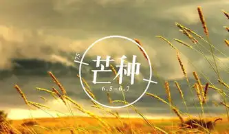 芒种高考