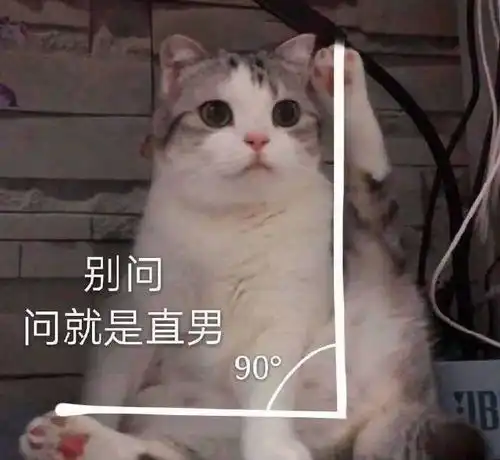 撩汉利器,超可爱动物表情包