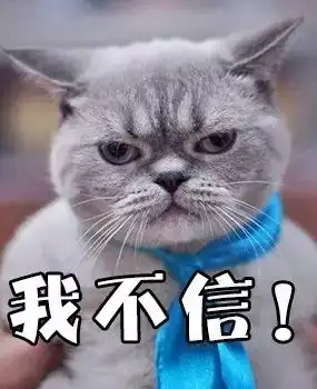 甲骨文萌起来,连自己都害怕