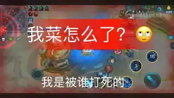 王者荣耀小妲己宠粉快手直播