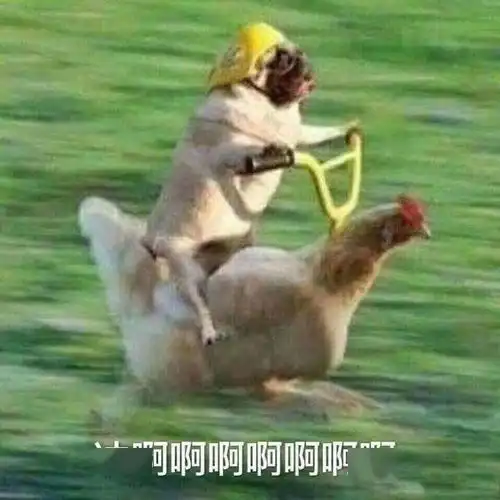 看起来很贵的脸长什么样