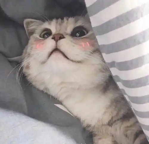 恋爱中的尴尬期应该怎么度过