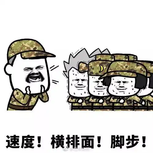 这百般滋味的迷彩14天
