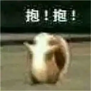 卡通搞笑头像,全部带字的不知如何表达