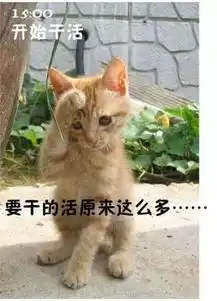 别不相信,你每天都是这样过的