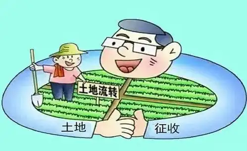 2024年土地征收补偿政策分析辽宁农村承包地土地确权证纠纷案件