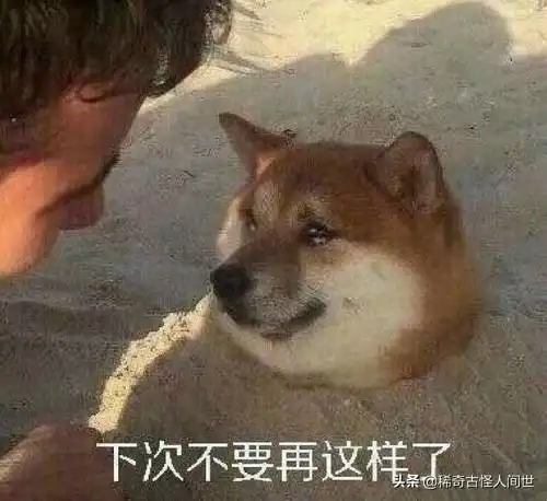 搞笑淘宝店主们遇上恶意差评恶意竞争怎么办看看这些神评