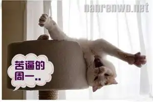 喵星人生动演绎上班族苦逼的周一