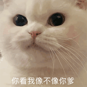 怎么会有你这样的傻逼