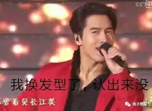 王菲的手套那英的眉贾玲的腿今年春晚,你记住了谁