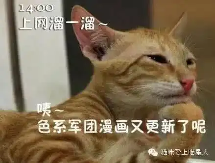 喵星人告诉你,明天的你就是这样子的