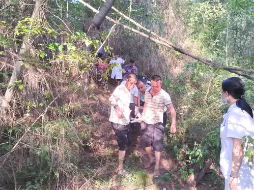 暖心眉山天府新区痴呆老人不慎走失警网协作火速寻回