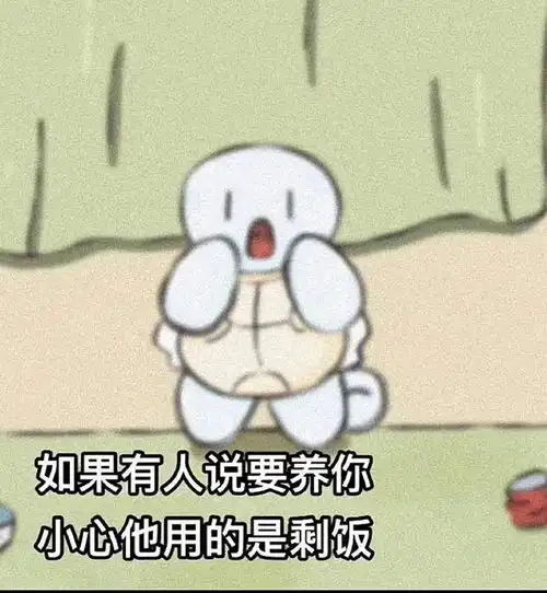 没有人能拒绝杰尼龟太可爱啦表情包合集