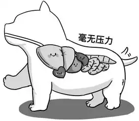 痔疮,其实是个神仙下凡的故事