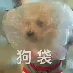 笑出猪哼这一届的外卖小哥也太太太太优秀了吧