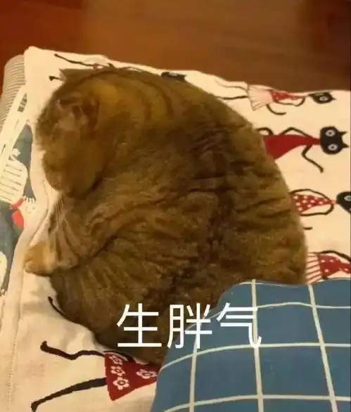 狗狗拆家,我太崩溃了