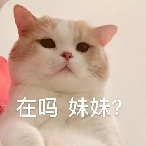 萌宠表情包不要搞我了好不好