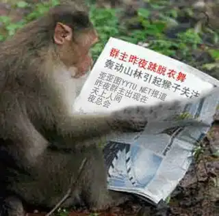 群主怀孕搞笑图片