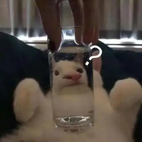 幽默搞笑表情包脱单指南,快来看看