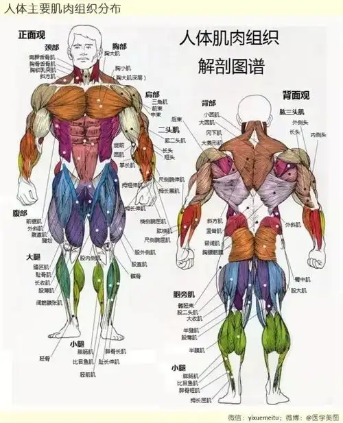 57张图带你领略骨科专业的神奇世界