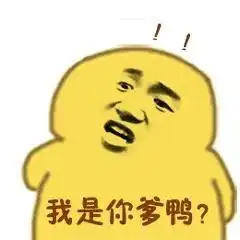 沙雕小黄鸭表情包