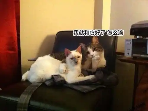 居然在家偷偷做这件事,结果被主人撞见