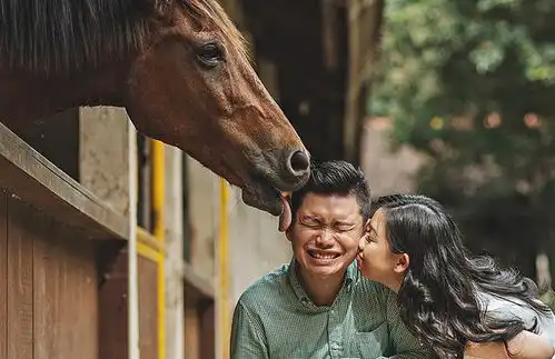 国际摄影协会盘点史上最搞笑婚纱照