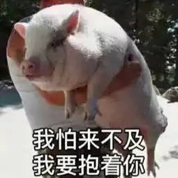 测试一个超长简介的文章