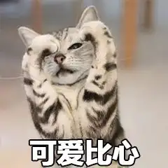 网络常见表情包之喵