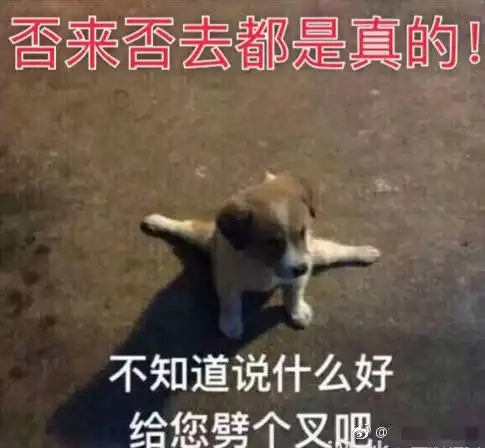 否来否去都是真的不知道说什么好,给您劈个叉吧